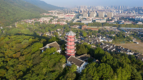 葫芦里面不卖药千万影片你需要huluwa官方集结猫眼电影｜影视市场净化行动：葫芦寓言警示，Huluwa猫眼联手护航观影体验