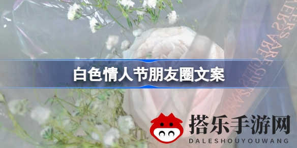 白色情人节：浪漫心语，情意绵绵